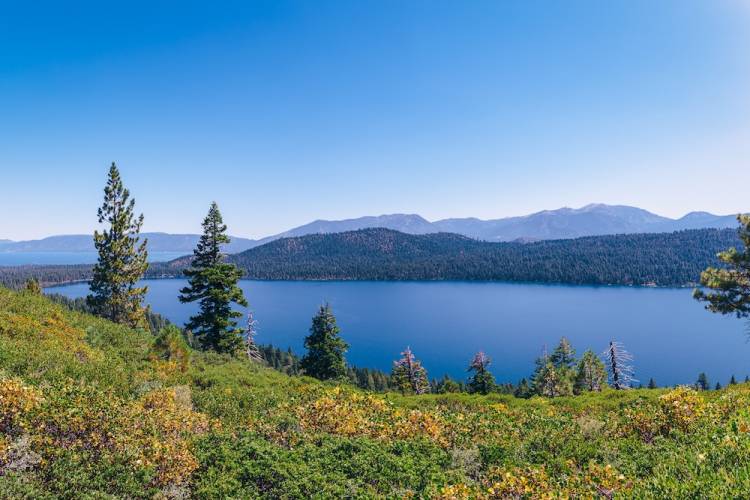 fallen leaf trail in tahoe