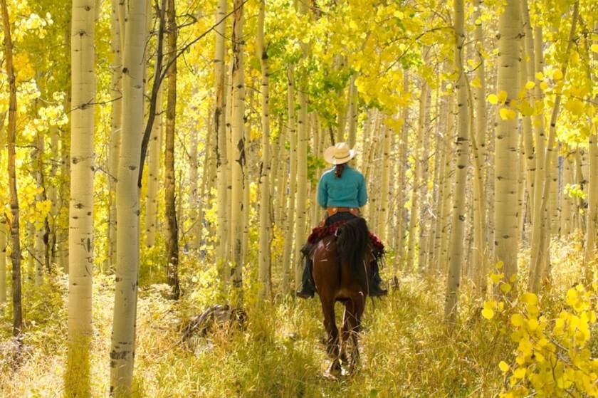 woman riding horse through aspen grove 